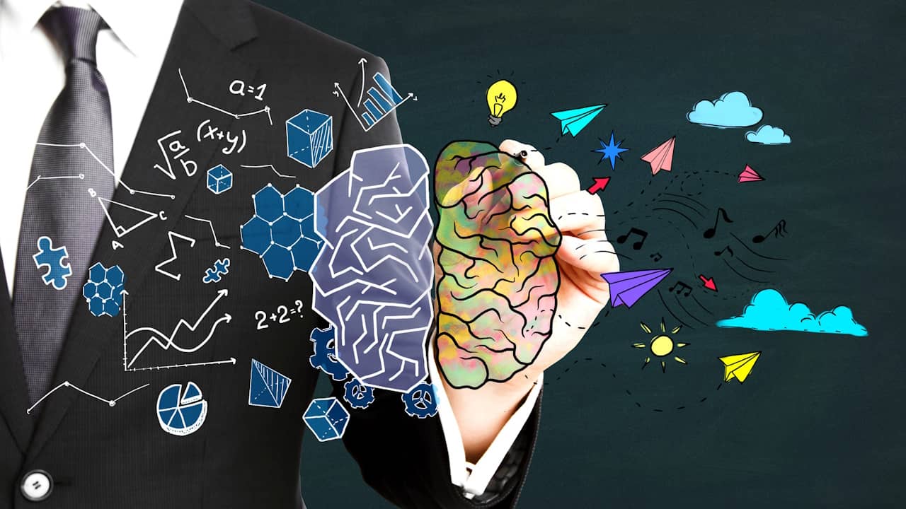 Cerveau Gauche Vs Cerveau Droit Quelles Diff Rences