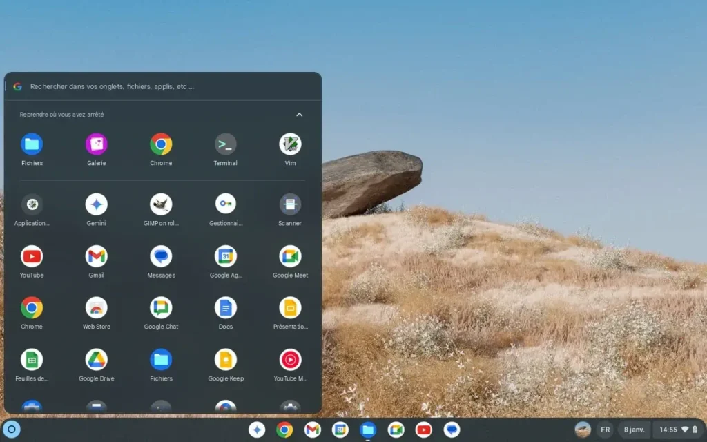 Chrome OS flexible